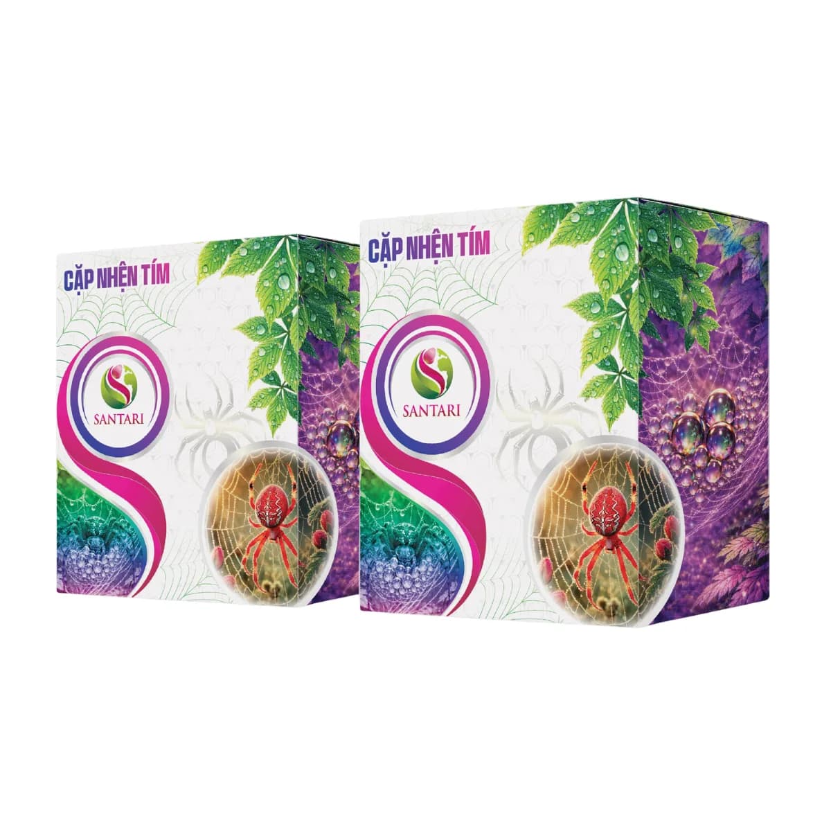 CẶP NHỆN TÍM NEW